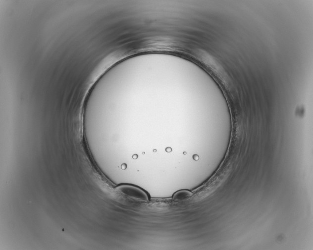 X0000090751370200708101715