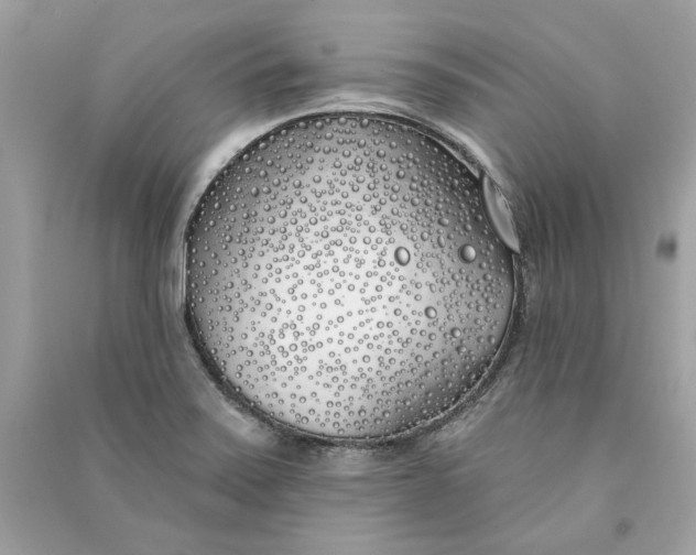 X0000090751371200708101715