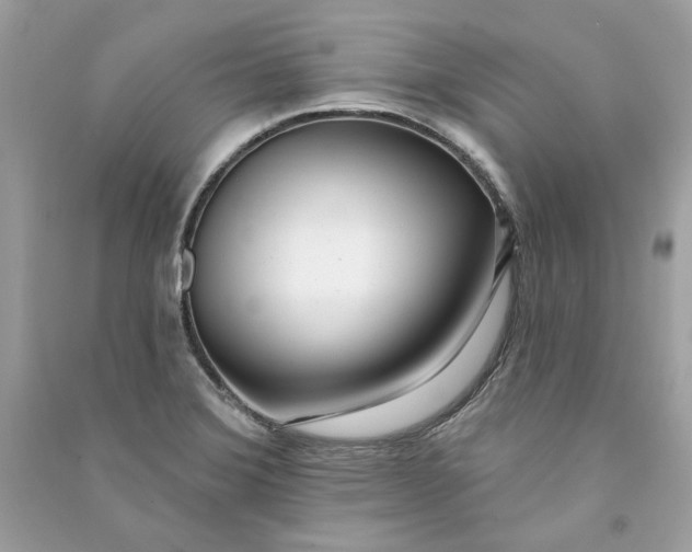 X0000090751372200708101715