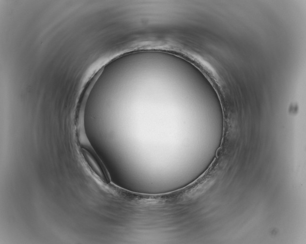 X0000090751373200708101715