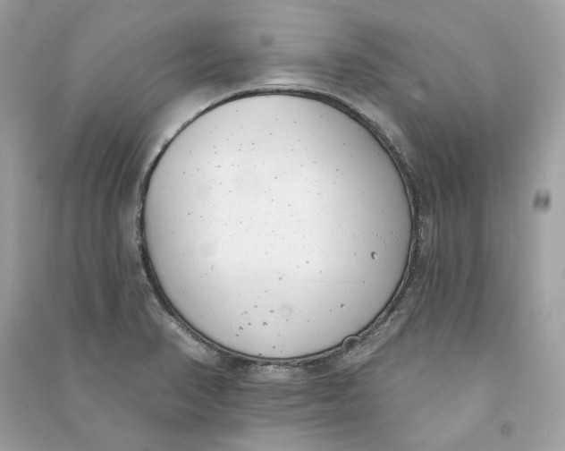 X0000090751374200708101715