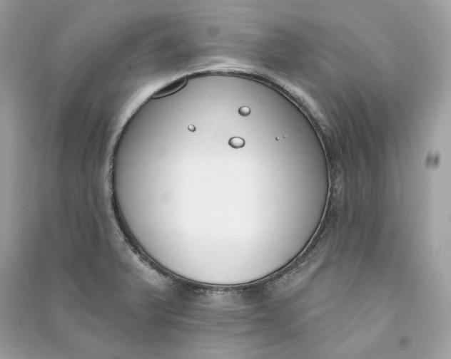 X0000090751375200708101715