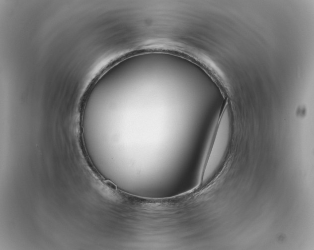 X0000090751376200708101715