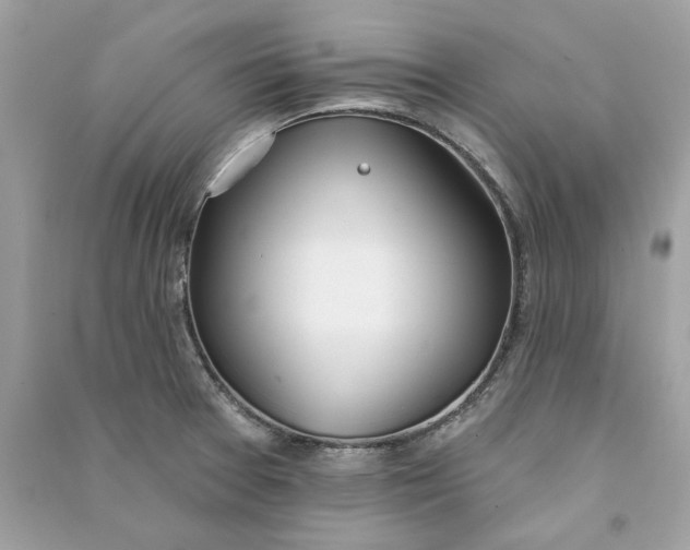 X0000090751377200708101715