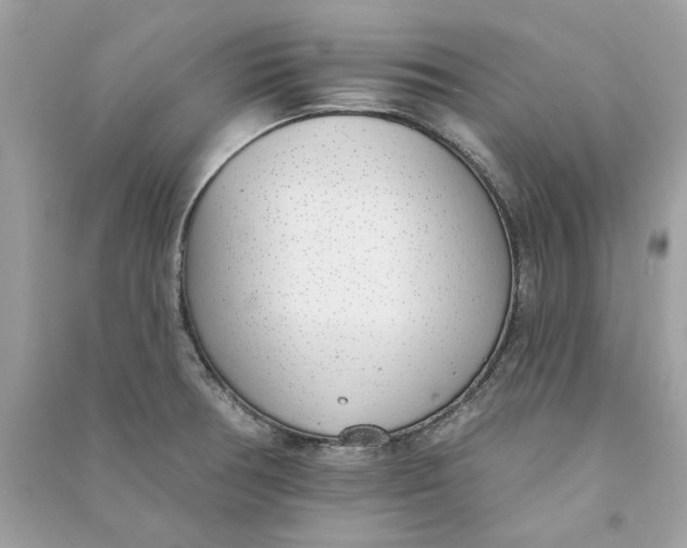 X0000090751378200708101715