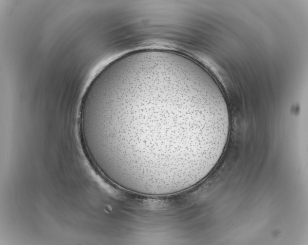 X0000090751379200708101715