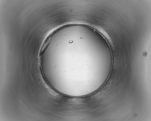 X0000090751380200708101715