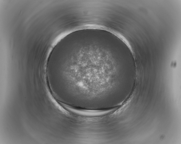 X0000090751381200708101715