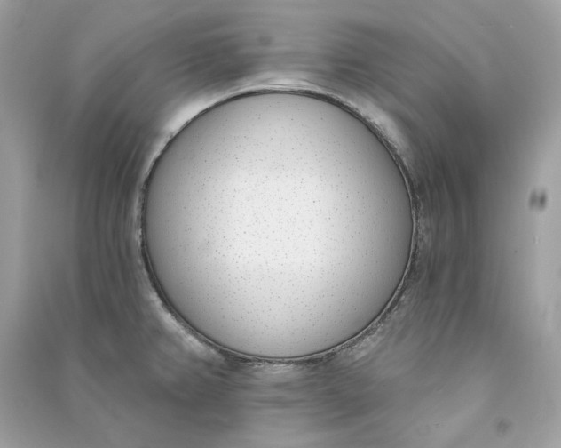 X0000090751382200708101715