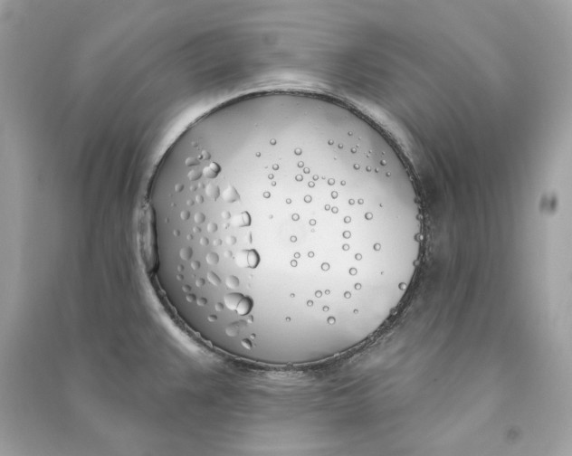 X0000090751383200708101715