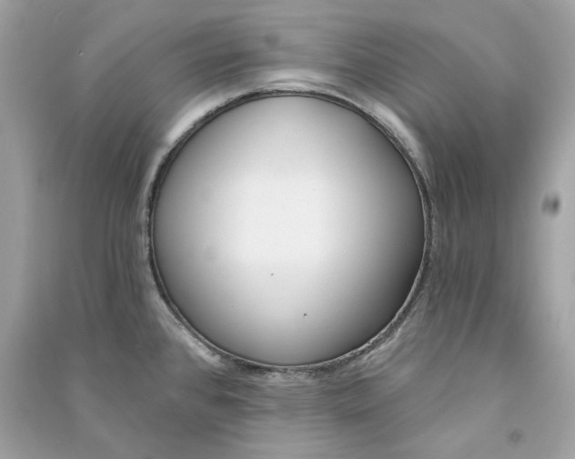 X0000090751384200708101715