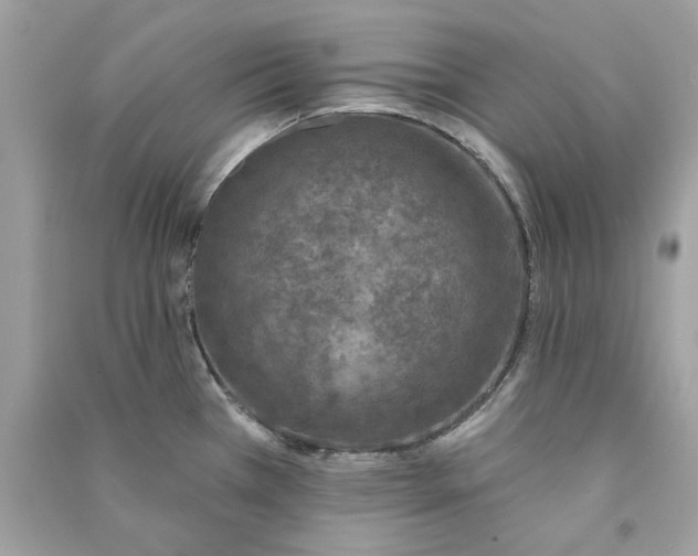 X0000090751385200708101715