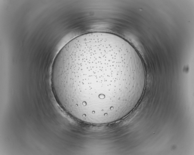 X0000090751386200708101715