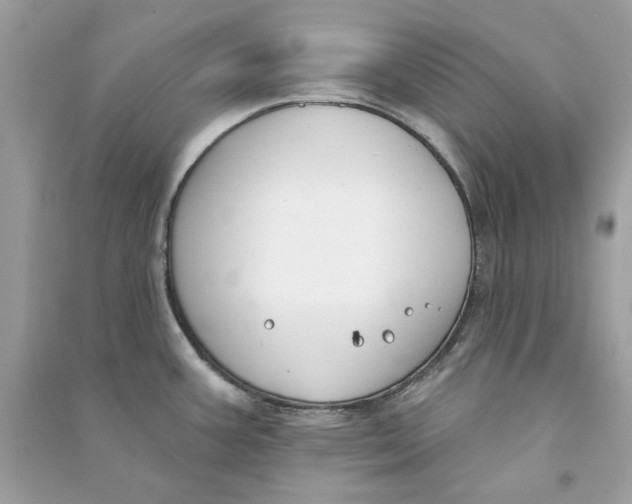 X0000090751387200708101715