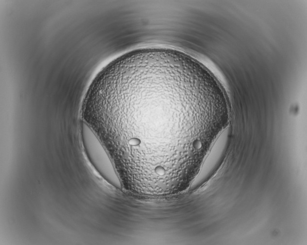 X0000090751388200708101715