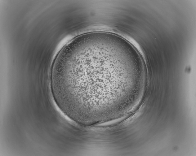 X0000090751389200708101715