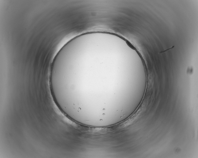 X0000090751390200708101715