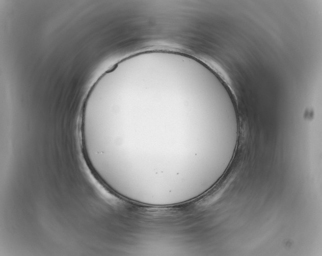 X0000090751391200708101715