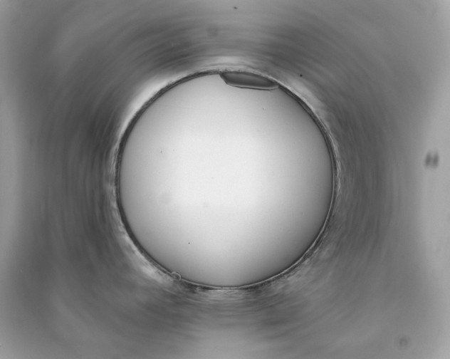 X0000090751392200708101715