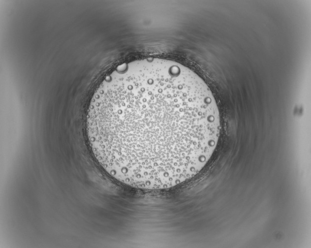 X0000090751393200708101714