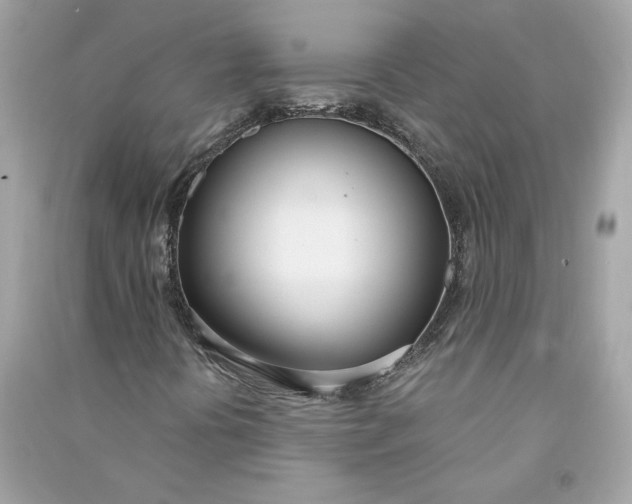 X0000090751394200708101714