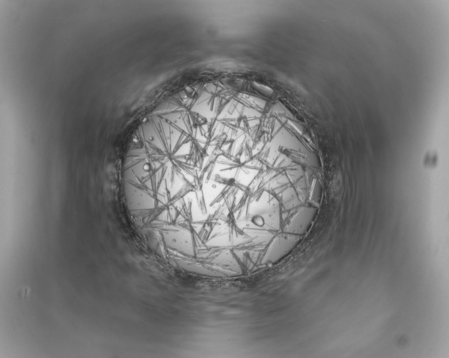 X0000090751397200708101714