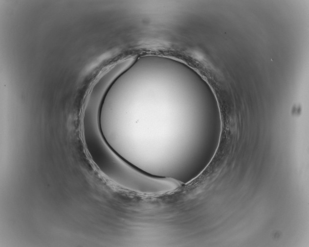 X0000090751398200708101714