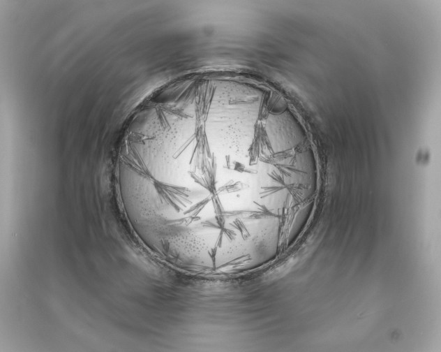 X0000090751401200708101714