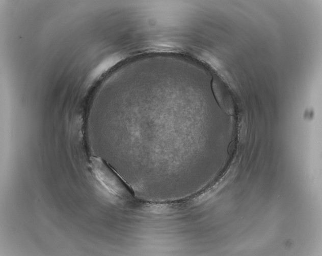 X0000090751402200708101714