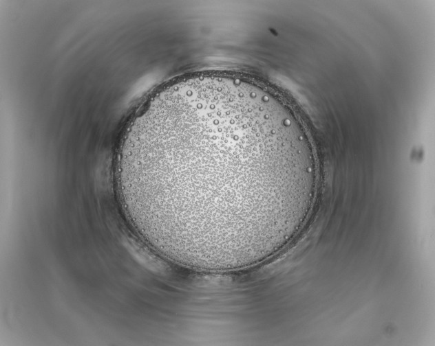 X0000090751403200708101714