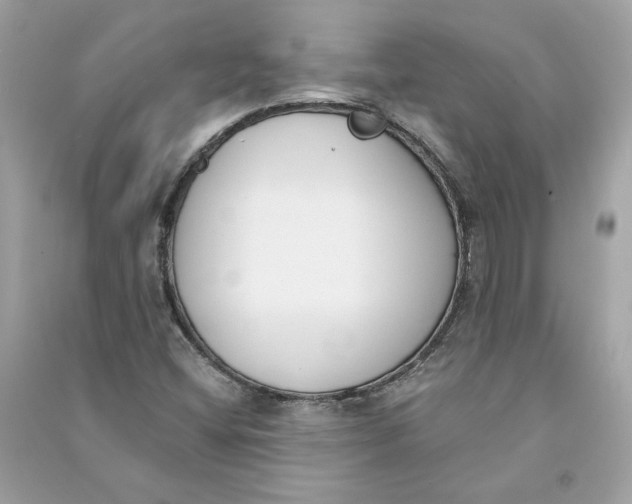 X0000090751404200708101714