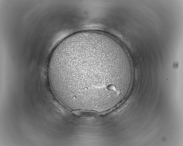 X0000090751405200708101714