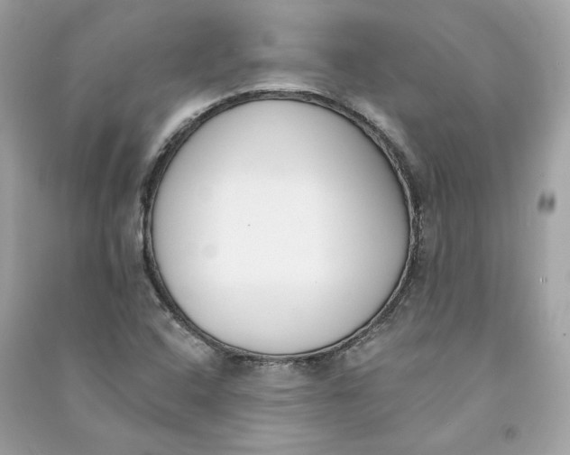 X0000090751408200708101714