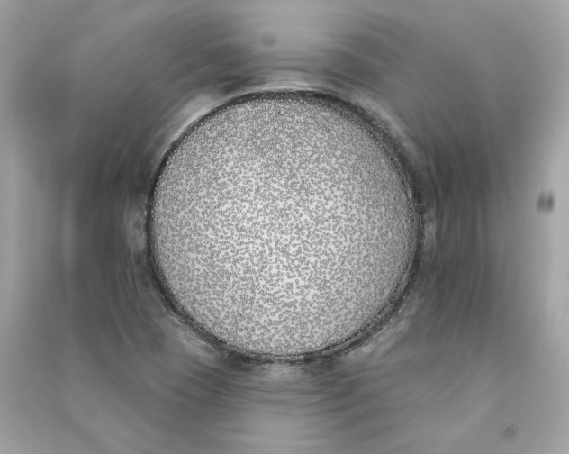 X0000090751409200708101714