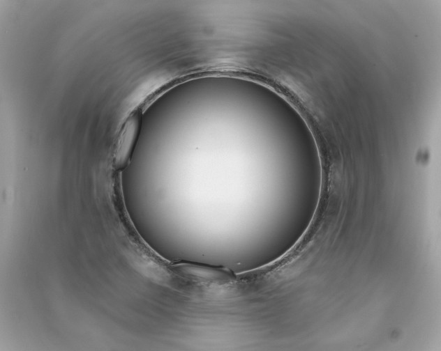 X0000090751410200708101715