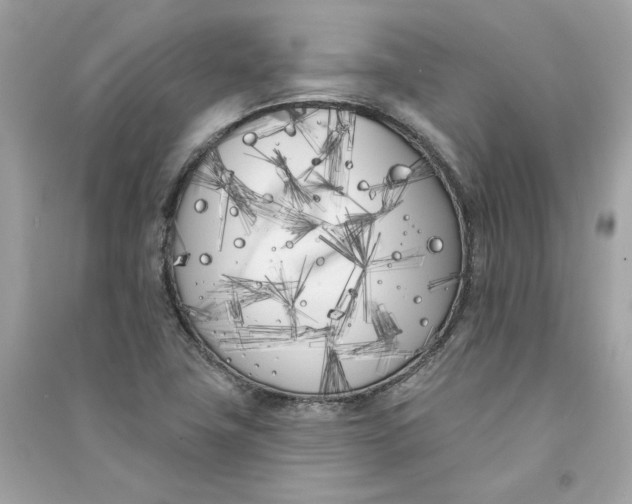 X0000090751411200708101715