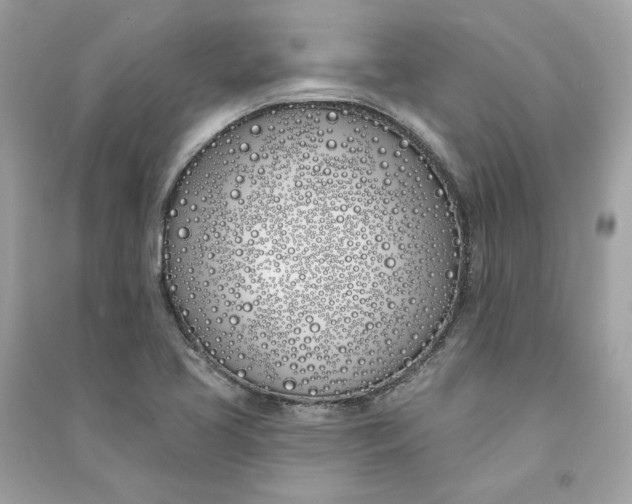 X0000090751413200708101715