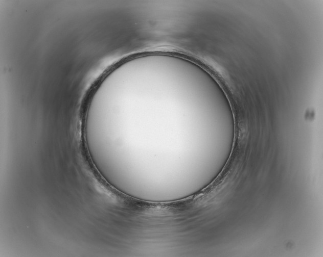 X0000090751414200708101715