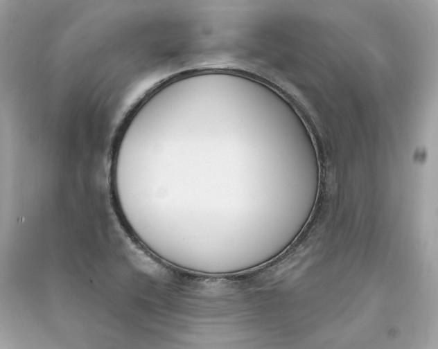 X0000090751416200708101715