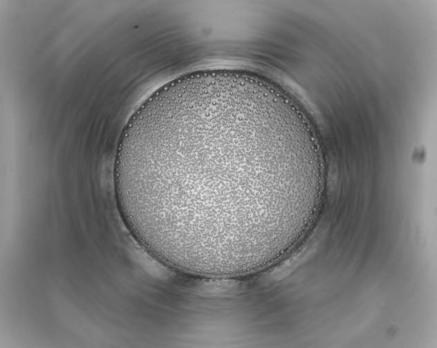 X0000090751417200708101715