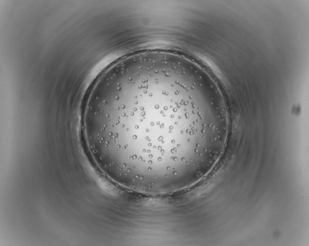 X0000090751418200708101715