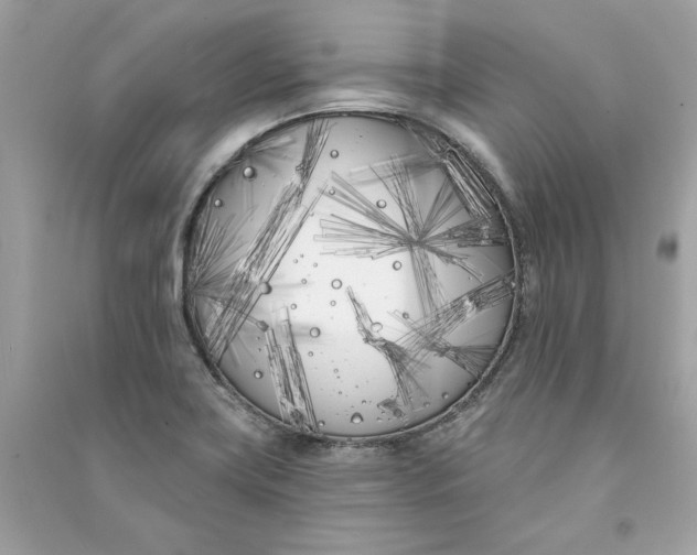 X0000090751419200708101715