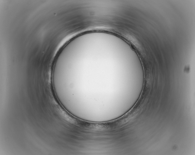 X0000090751420200708101715