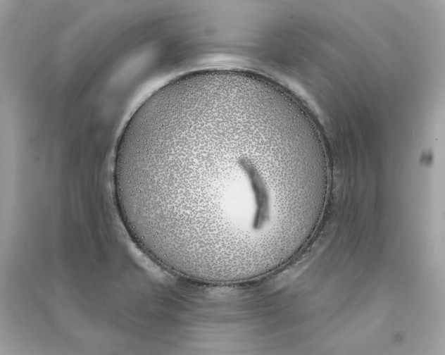 X0000090751421200708101715