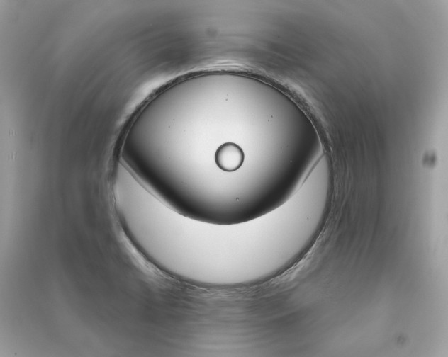 X0000090751422200708101715