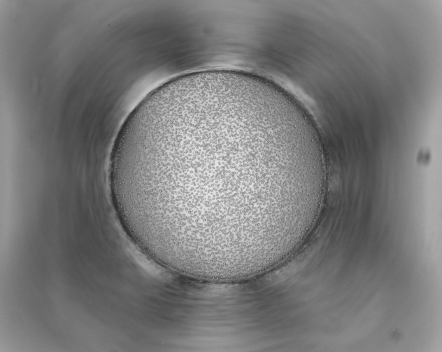 X0000090751423200708101715