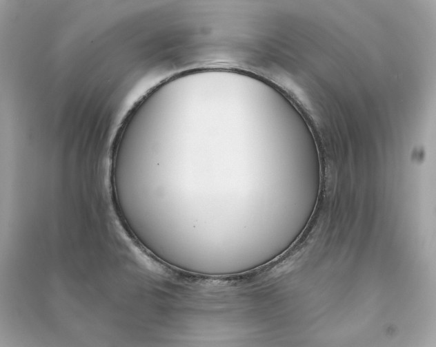 X0000090751424200708101715