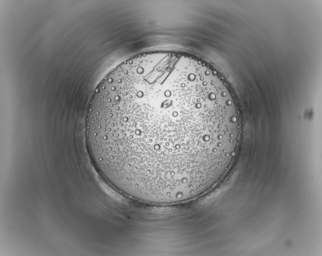 X0000090751425200708101715