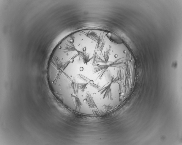 X0000090751427200708101715