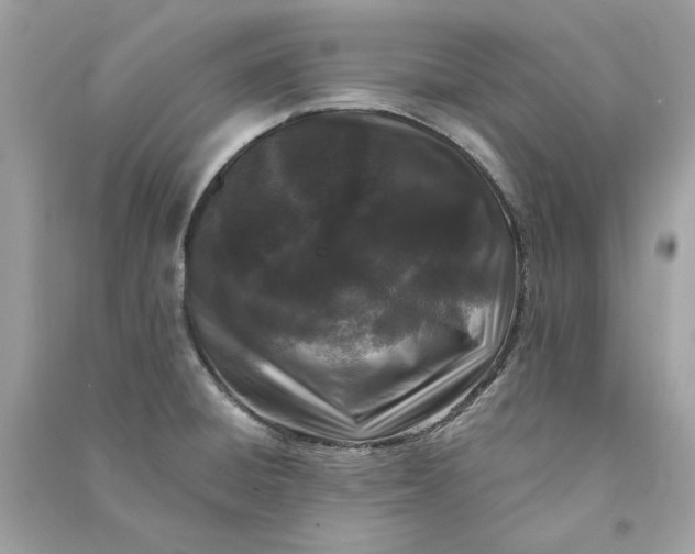 X0000090751428200708101715